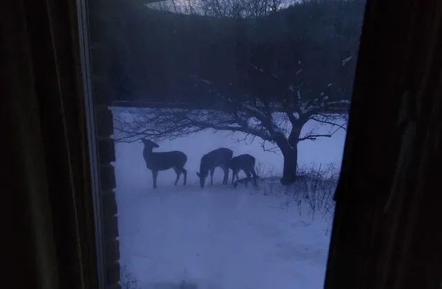 $599,000 | 28890 County 25 South, Peterson, MN 55962