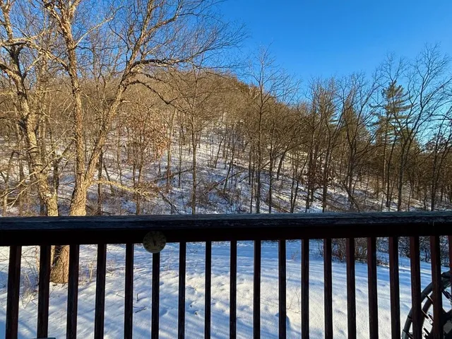 $599,000 | 28890 County 25 South, Peterson, MN 55962