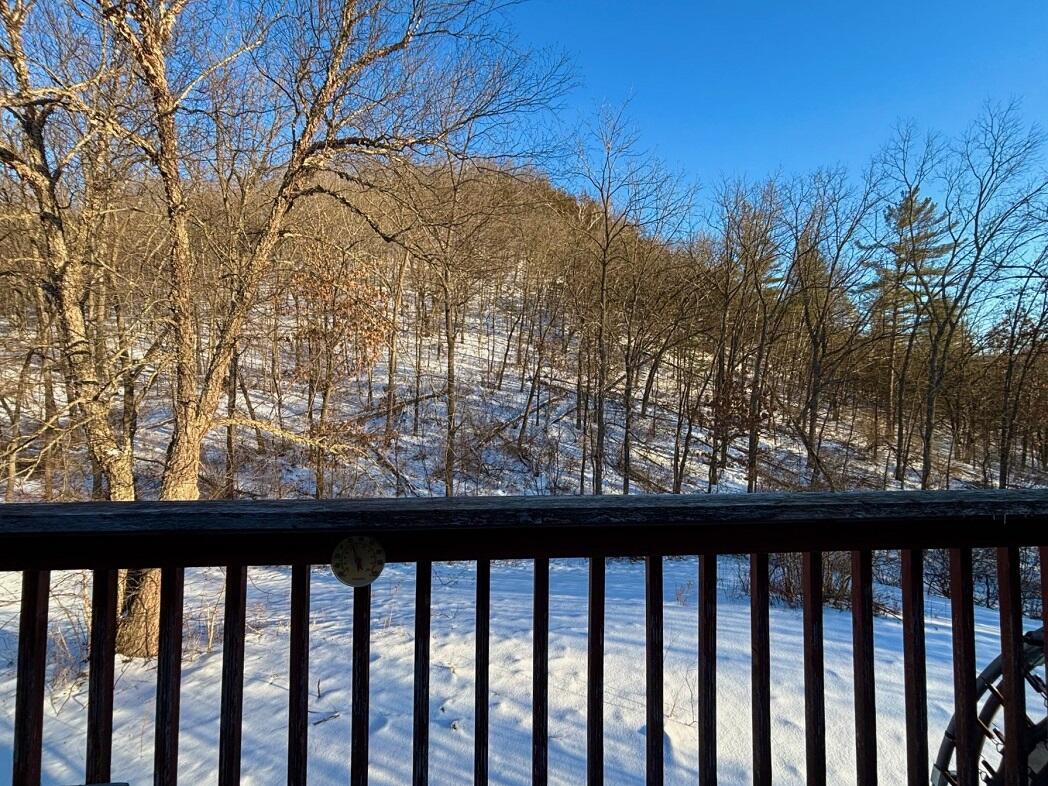 28890 County 25 South Peterson, MN 55962 - Photo 61 of 91 g1