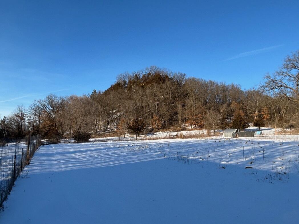 28890 County 25 South Peterson, MN 55962 - Photo 63 of 91 g3