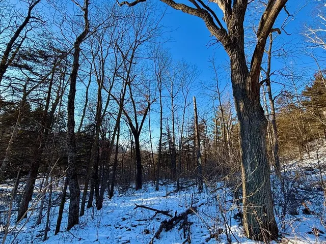 $599,000 | 28890 County 25 South, Peterson, MN 55962