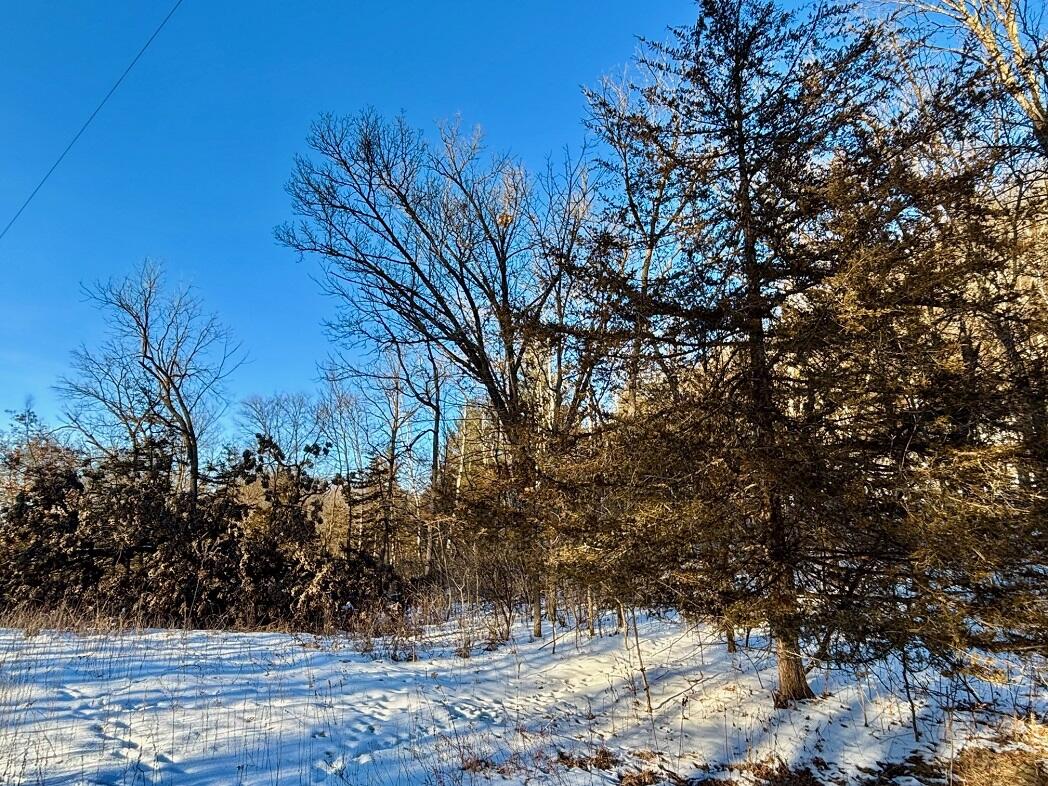 28890 County 25 South Peterson, MN 55962 - Photo 67 of 91 g8