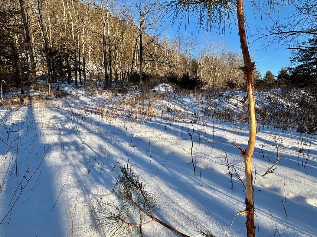 28890 County 25 South Peterson, MN 55962 - Photo 69 of 91 g9