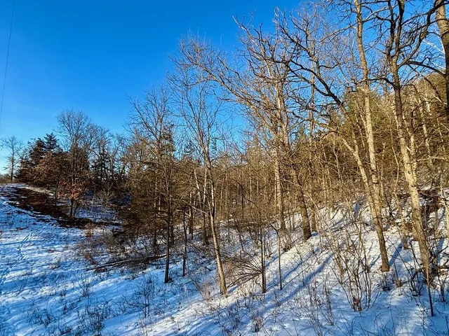 $599,000 | 28890 County 25 South, Peterson, MN 55962