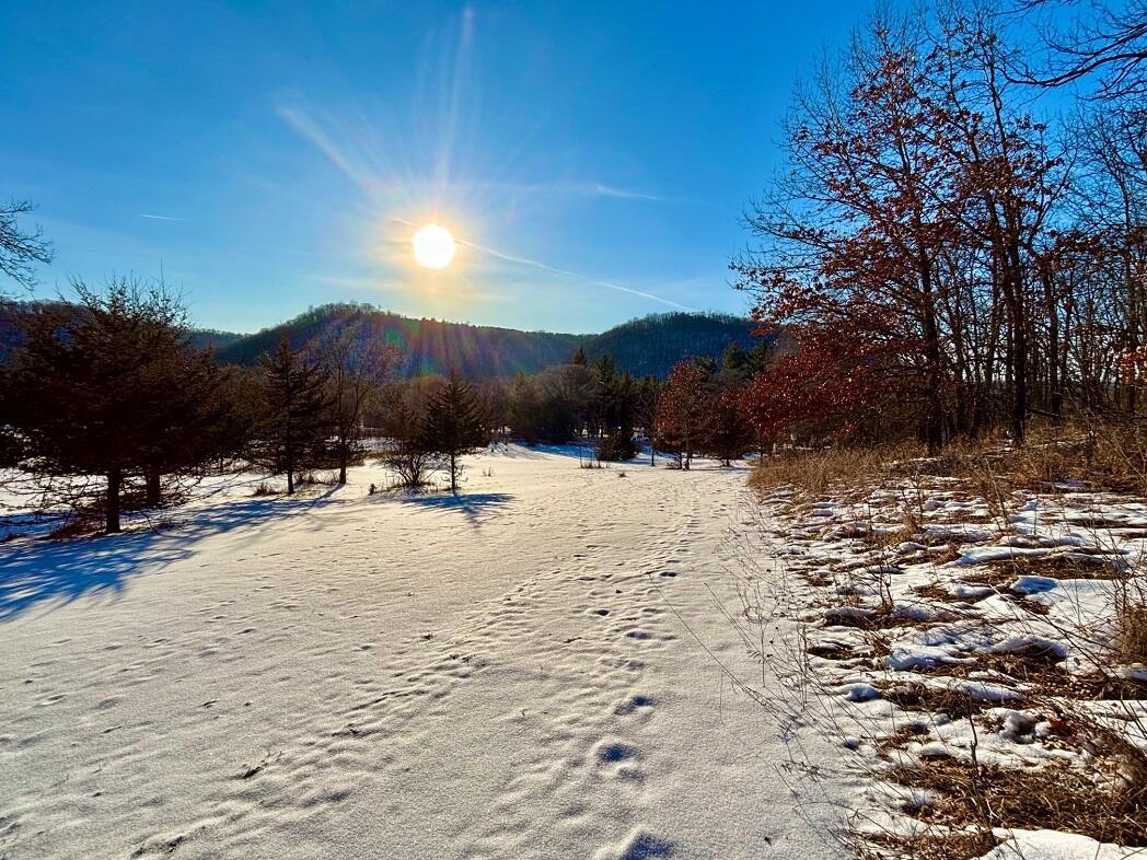 28890 County 25 South Peterson, MN 55962 - Photo 72 of 91 g12
