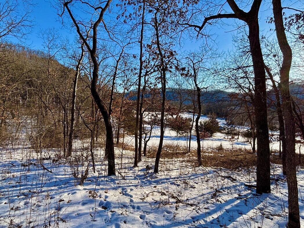 28890 County 25 South Peterson, MN 55962 - Photo 73 of 91 g13
