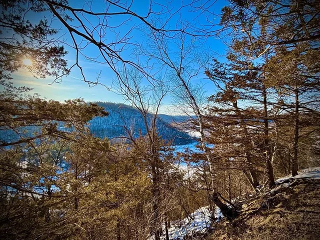 $599,000 | 28890 County 25 South, Peterson, MN 55962