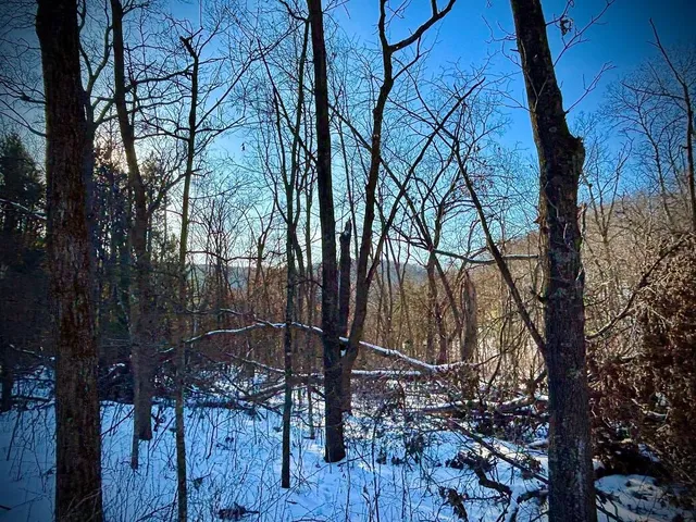 $599,000 | 28890 County 25 South, Peterson, MN 55962