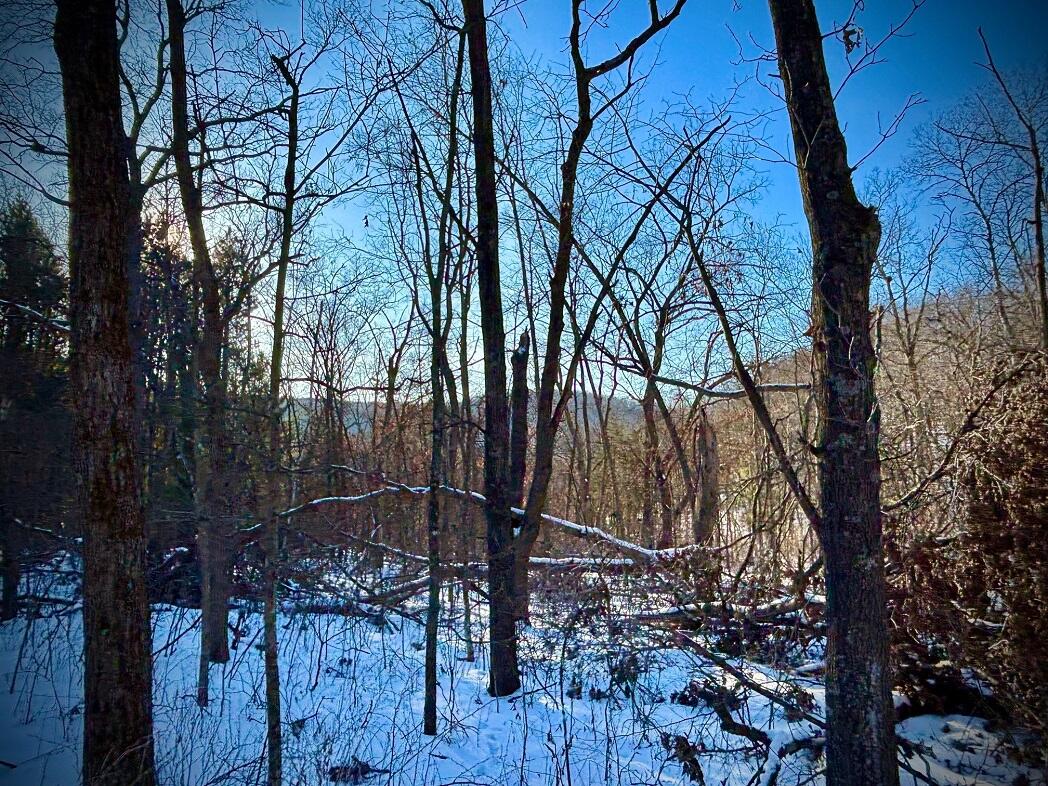 28890 County 25 South Peterson, MN 55962 - Photo 79 of 91 g21