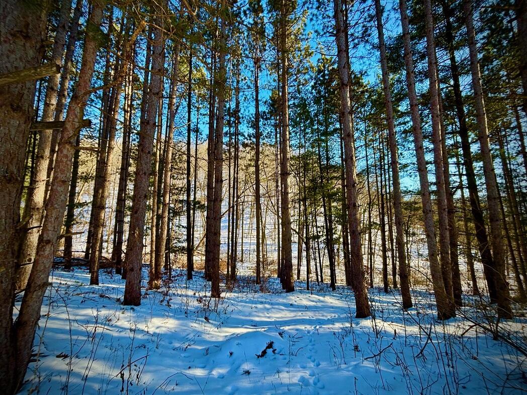 28890 County 25 South Peterson, MN 55962 - Photo 80 of 91 g22