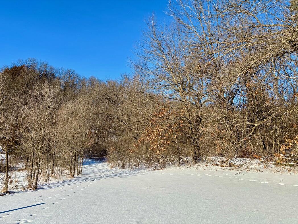 28890 County 25 South Peterson, MN 55962 - Photo 81 of 91 g23