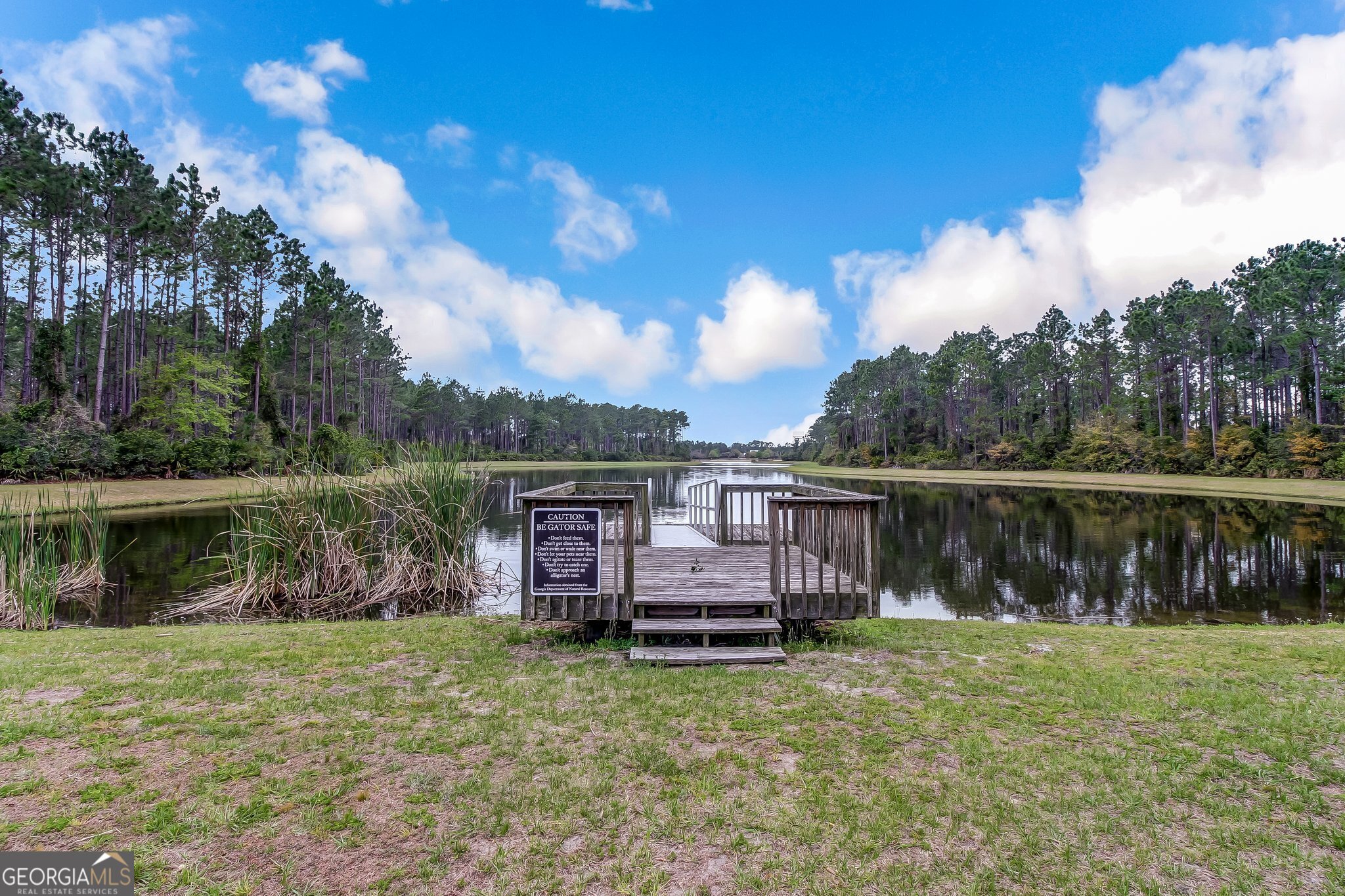 302 South Point Boulevard St. Marys, GA 31558 - Photo 12 of 18 a backyard of a house with yard table and chairs