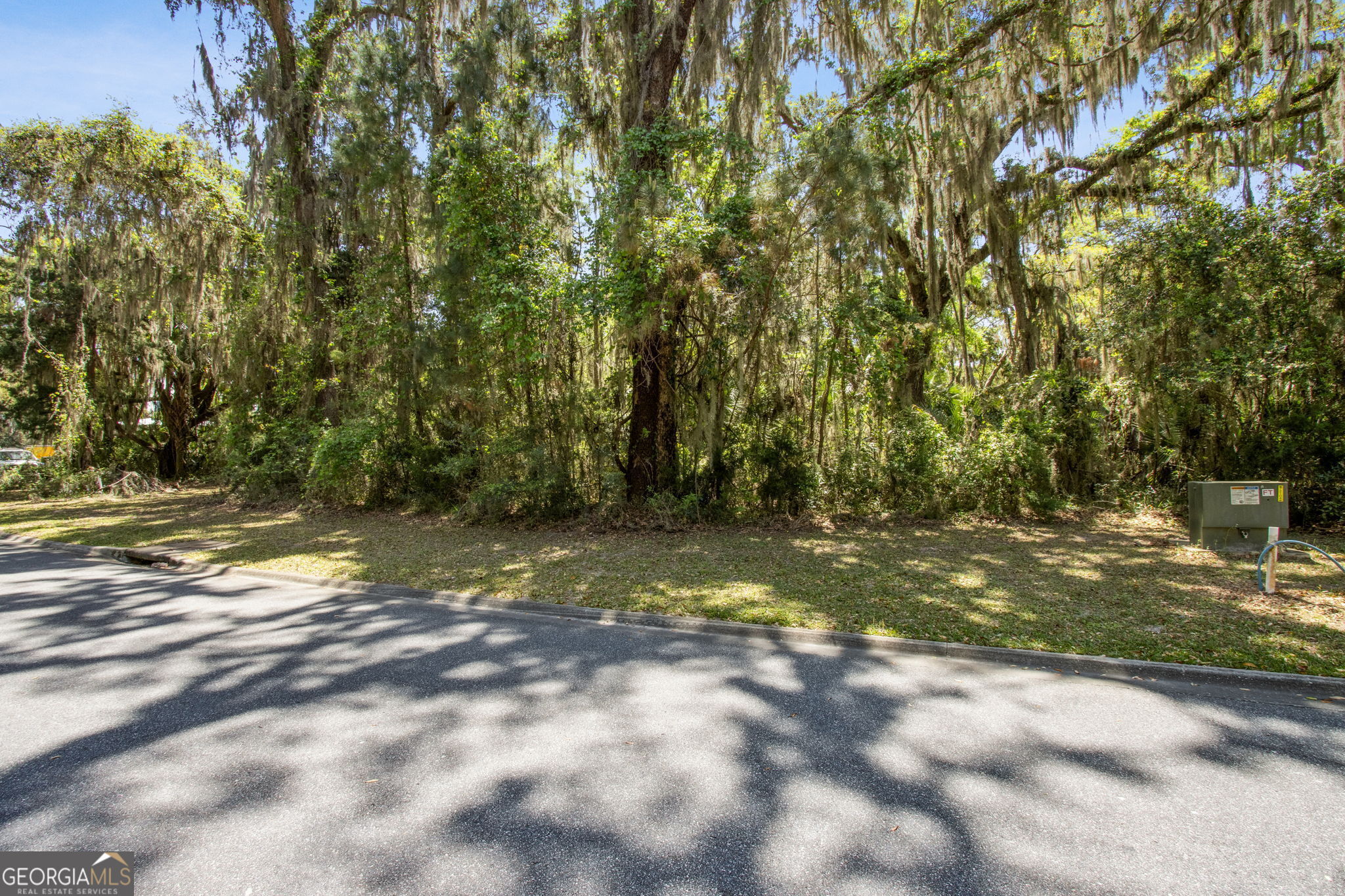 302 South Point Boulevard St. Marys, GA 31558 - Photo 8 of 18 a view of yard