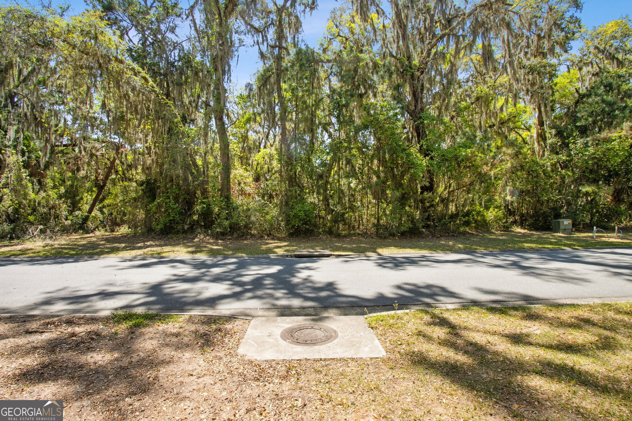 302 South Point Boulevard St. Marys, GA 31558 - Photo 9 of 18 a view of a yard with a tree