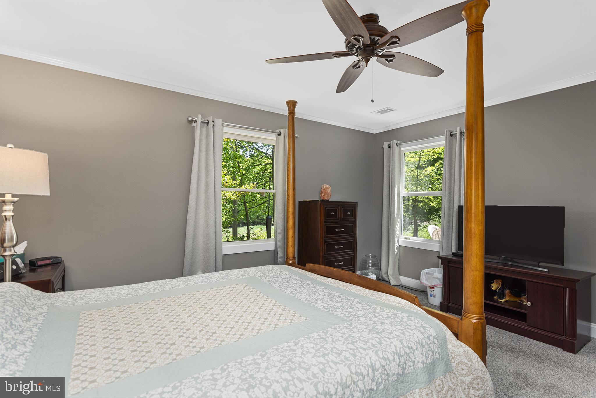 127 Ridge Run Road North East, MD 21901 - Photo 18 of 29 OWNERS SUITE