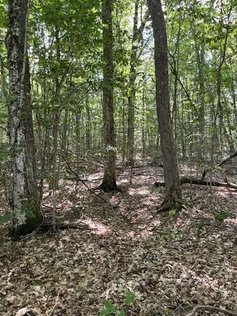 $98,500 | 173 Island Way, Carmel, ME 04419