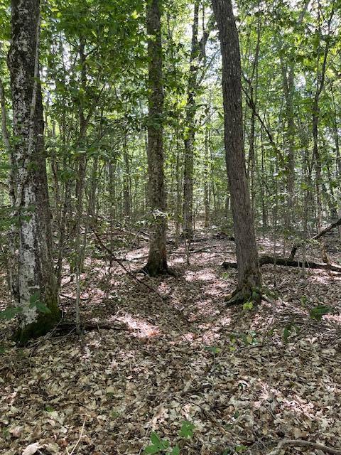 173 Island Way Carmel, ME 04419 - Photo 12 of 13 IMG_4674