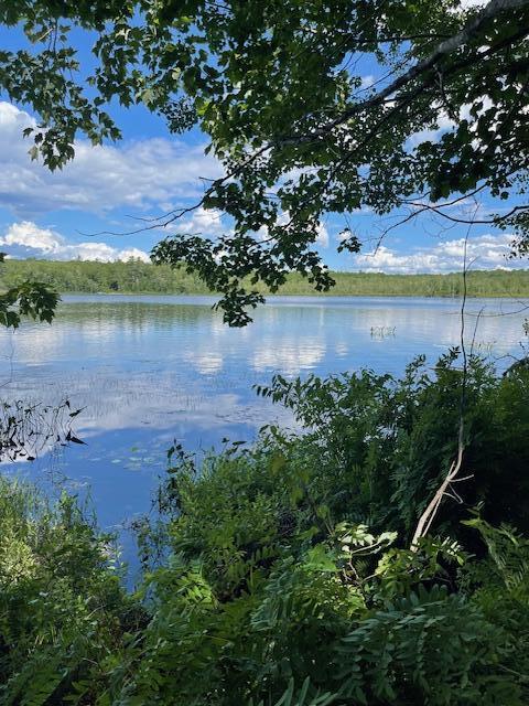 173 Island Way Carmel, ME 04419 - Photo 2 of 13 IMG_4672