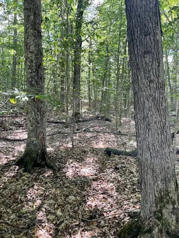 $98,500 | 173 Island Way, Carmel, ME 04419