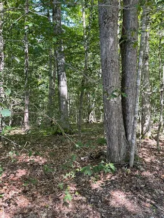 $98,500 | 173 Island Way, Carmel, ME 04419