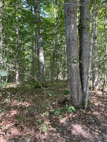 $98,500 | 173 Island Way, Carmel, ME 04419