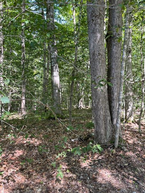 173 Island Way Carmel, ME 04419 - Photo 7 of 13 IMG_4666