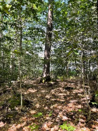 $98,500 | 173 Island Way, Carmel, ME 04419