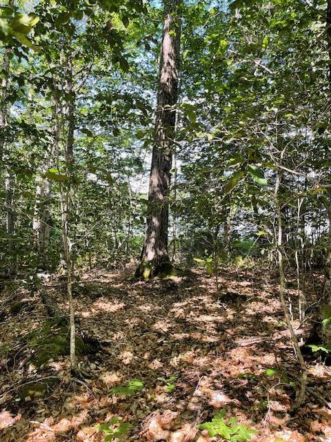 173 Island Way Carmel, ME 04419 - Photo 8 of 13 IMG_4670