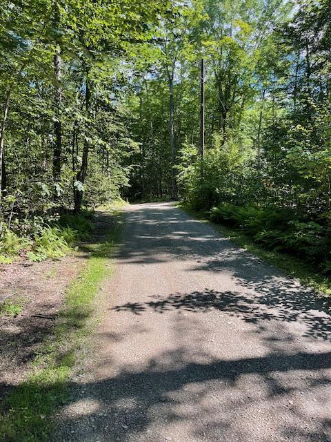 173 Island Way Carmel, ME 04419 - Photo 10 of 13 IMG_4665