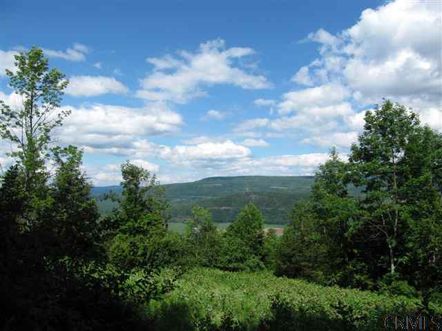 0 Joslyn Road West Fulton, NY 12194 - Photo 1 of 15 Photo 1
