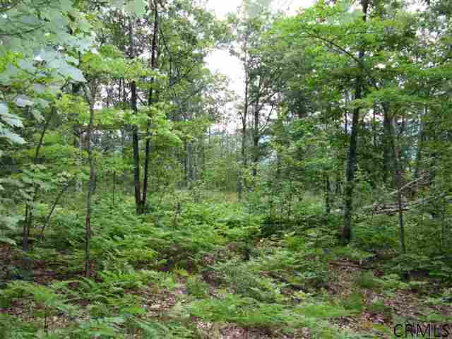 0 Joslyn Road West Fulton, NY 12194 - Photo 11 of 15 Photo 11