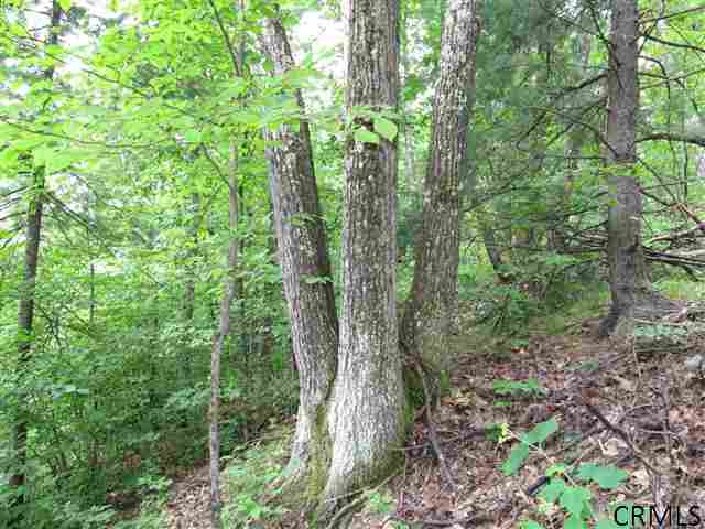 0 Joslyn Road West Fulton, NY 12194 - Photo 13 of 15 Photo 13