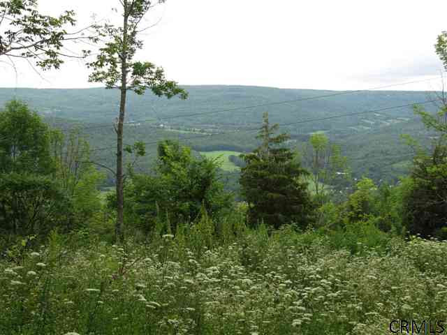 0 Joslyn Road West Fulton, NY 12194 - Photo 14 of 15 Photo 14