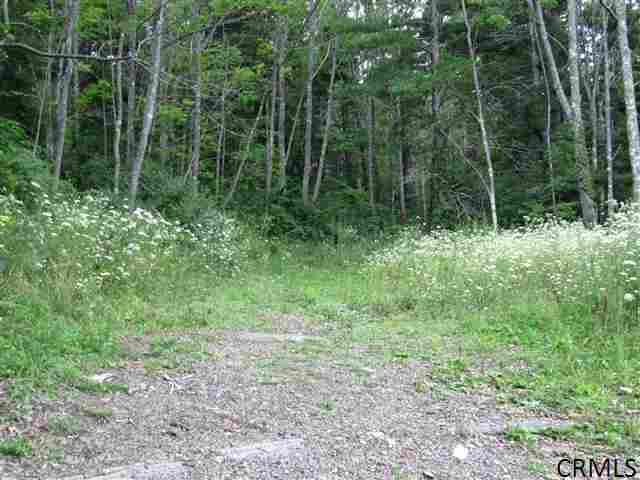 0 Joslyn Road West Fulton, NY 12194 - Photo 15 of 15 Photo 15