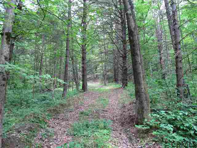 0 Joslyn Road West Fulton, NY 12194 - Photo 3 of 15 Photo 3