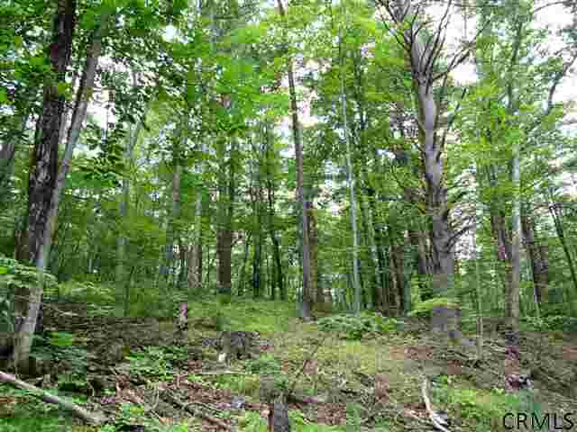 0 Joslyn Road West Fulton, NY 12194 - Photo 4 of 15 Photo 4