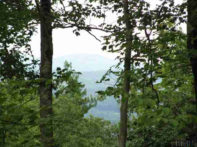 0 Joslyn Road West Fulton, NY 12194 - Photo 5 of 15 Photo 5