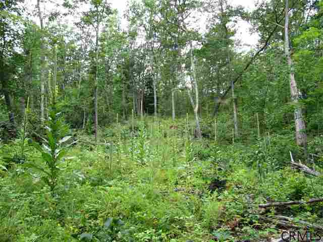 0 Joslyn Road West Fulton, NY 12194 - Photo 6 of 15 Photo 6