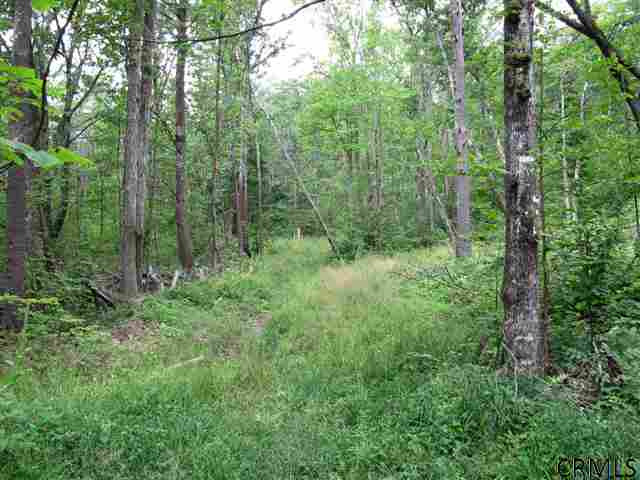 0 Joslyn Road West Fulton, NY 12194 - Photo 7 of 15 Photo 7