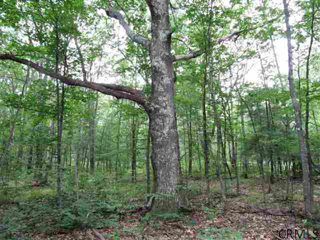 0 Joslyn Road West Fulton, NY 12194 - Photo 8 of 15 Photo 8