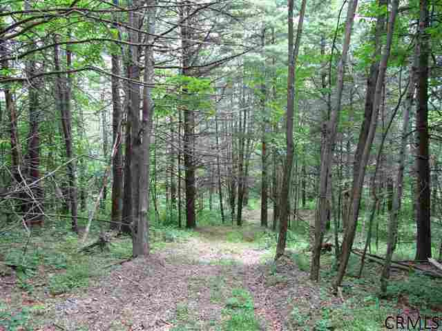 0 Joslyn Road West Fulton, NY 12194 - Photo 9 of 15 Photo 9
