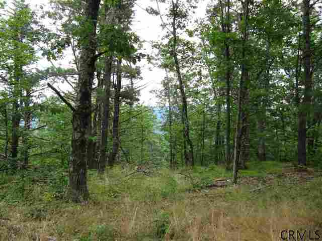 0 Joslyn Road West Fulton, NY 12194 - Photo 10 of 15 Photo 10