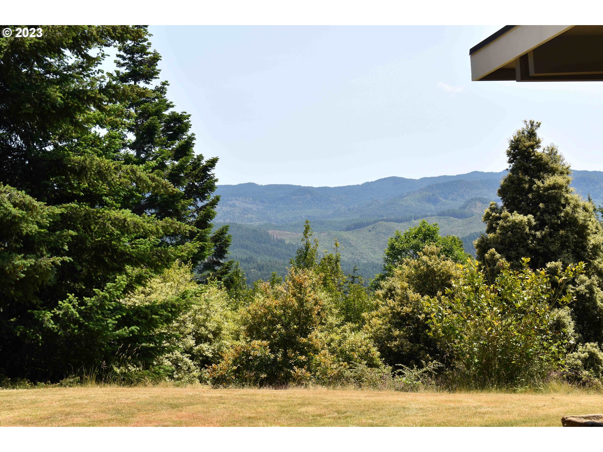 95144 Marchmont Road Gold Beach, OR 97444 - Photo 24 of 34 a view of a large tree with a yard