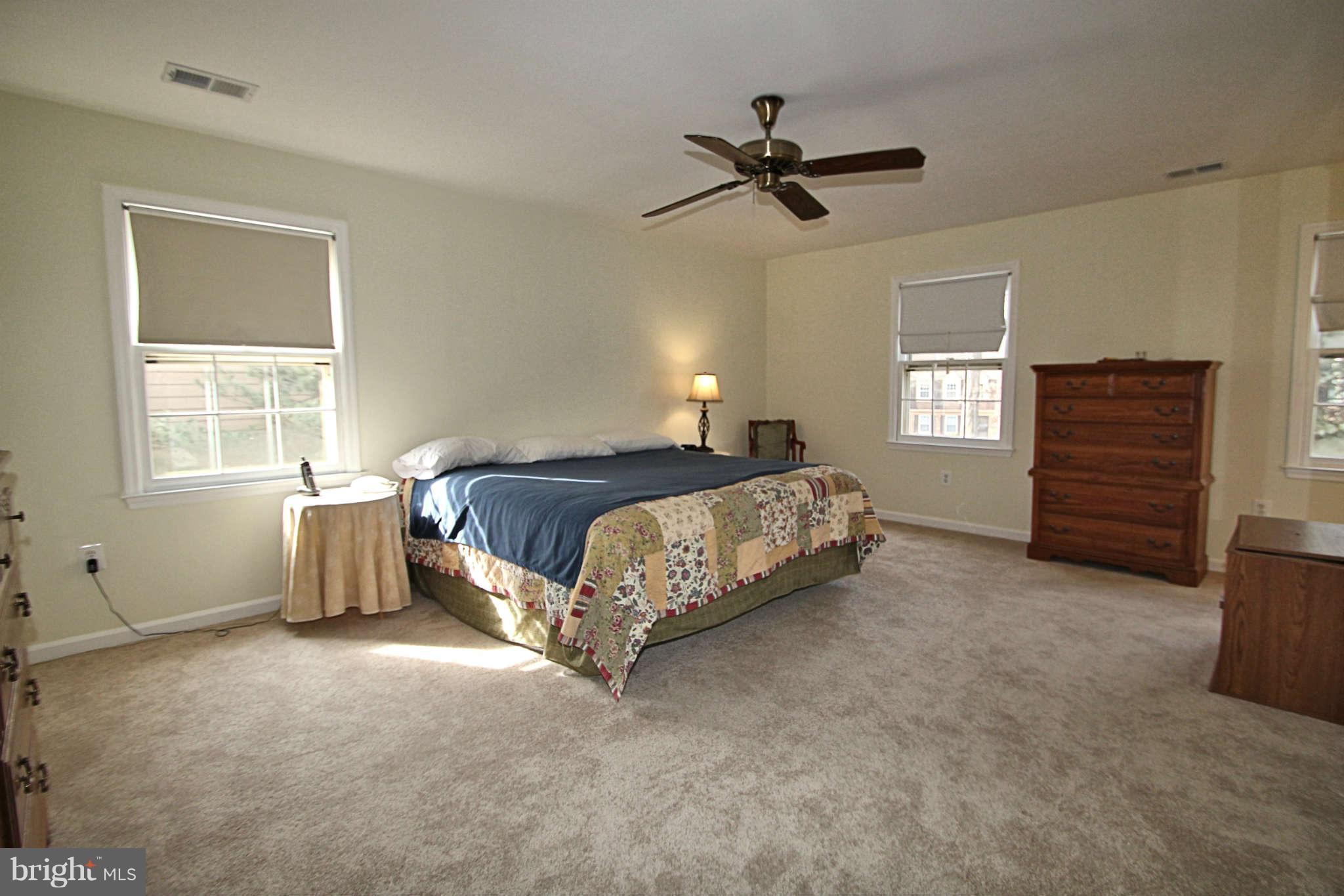 10135 Red Spruce Road Fairfax, VA 22032 - Photo 11 of 22 Bedroom (Master)