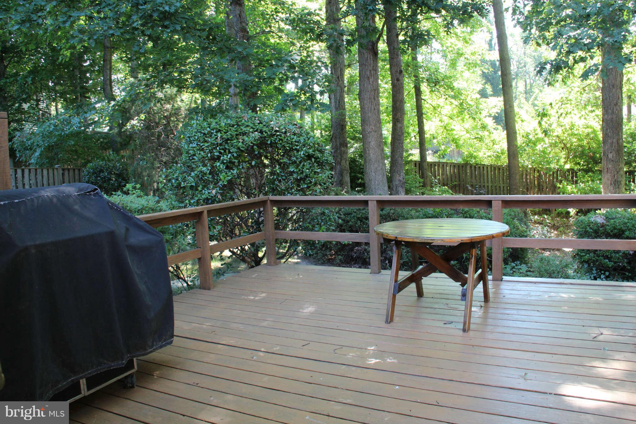 10135 Red Spruce Road Fairfax, VA 22032 - Photo 20 of 22 Exterior (Rear)