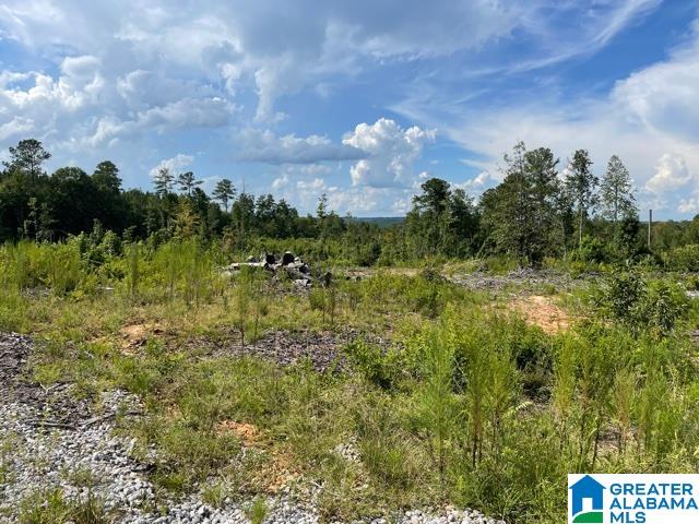 4559 Fincher Road, Unit 71 AC Roanoke, AL 36274 - Photo 2 of 4