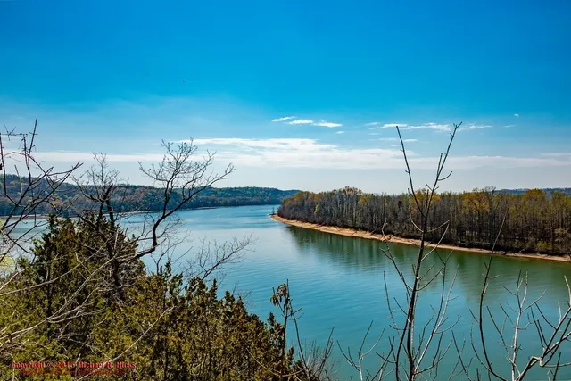 $19,900 | 40 Eagle Point Circle, Decaturville, TN 38329