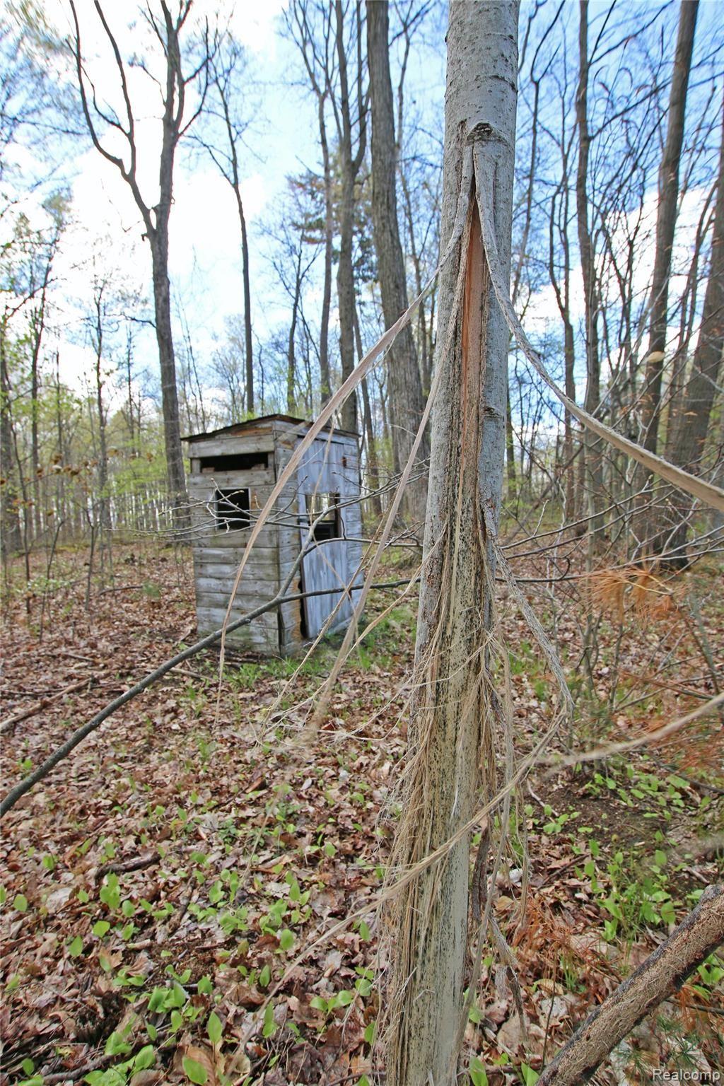 4095 Flint River Road Columbiaville, MI 48421 - Photo 69 of 84 70) Deer Blind.jpg