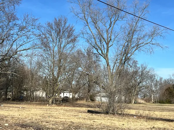 a view of a yard with trees