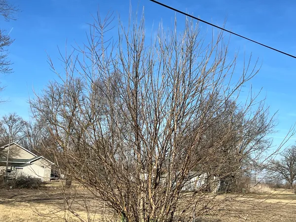 a view of a backyard of the house